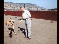 Grandpa Coop feeding a deer